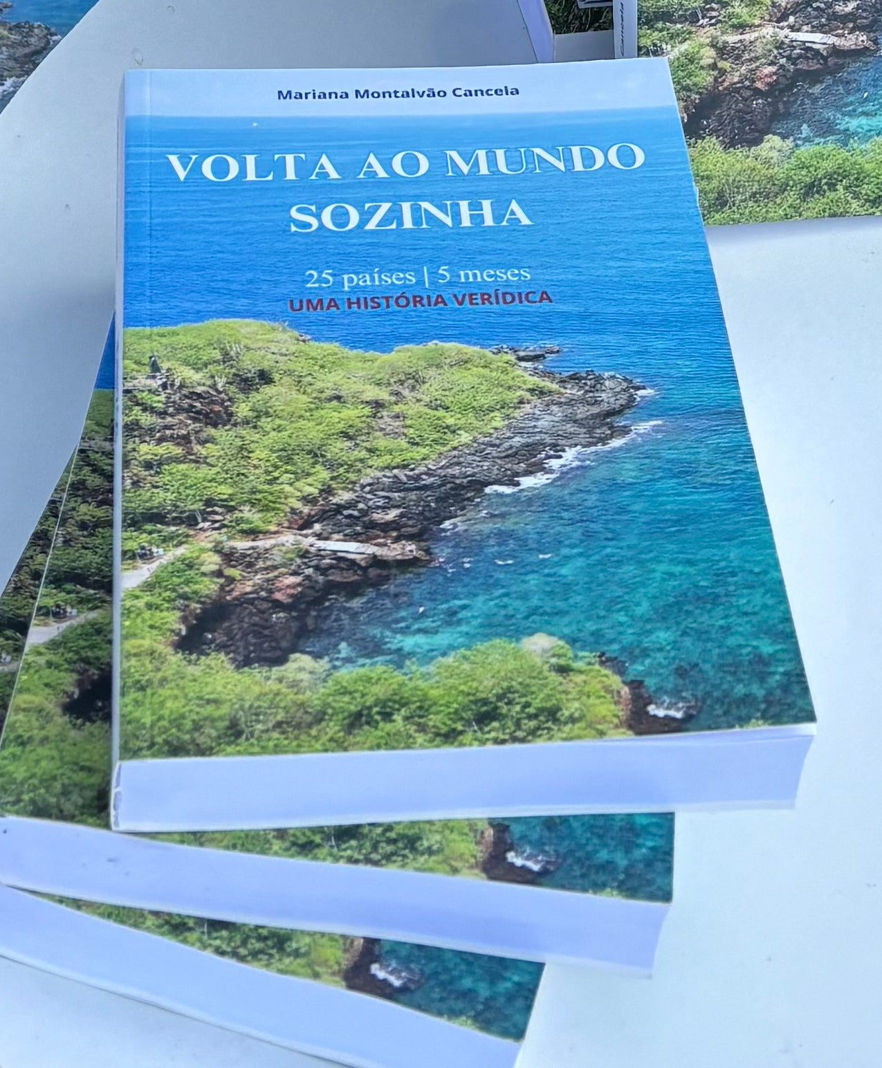 LIVRO VOLTA AO MUNDO SOZINHA